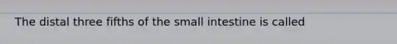 The distal three fifths of the small intestine is called