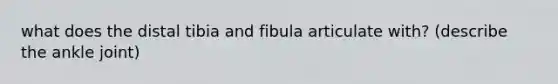 what does the distal tibia and fibula articulate with? (describe the ankle joint)