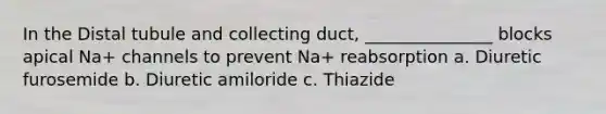 In the Distal tubule and collecting duct, _______________ blocks apical Na+ channels to prevent Na+ reabsorption a. Diuretic furosemide b. Diuretic amiloride c. Thiazide