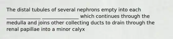 The distal tubules of several nephrons empty into each ______________ _______________ which continues through the medulla and joins other collecting ducts to drain through the renal papillae into a minor calyx