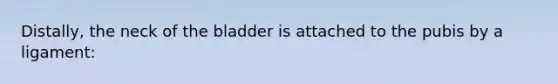 Distally, the neck of the bladder is attached to the pubis by a ligament: