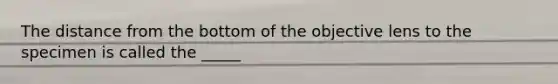 The distance from the bottom of the objective lens to the specimen is called the _____