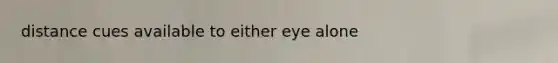 distance cues available to either eye alone