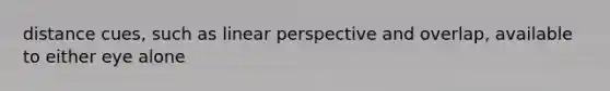 distance cues, such as linear perspective and overlap, available to either eye alone