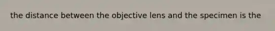 the distance between the objective lens and the specimen is the