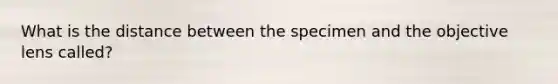 What is the distance between the specimen and the objective lens called?