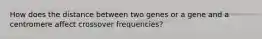 How does the distance between two genes or a gene and a centromere affect crossover frequencies?