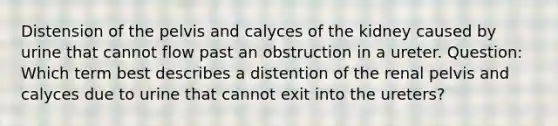 Distension of the pelvis and calyces of the kidney caused by urine that cannot flow past an obstruction in a ureter. Question: ​Which term best describes a distention of the renal pelvis and calyces due to urine that cannot exit into the ureters?