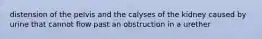 distension of the pelvis and the calyses of the kidney caused by urine that cannot flow past an obstruction in a urether