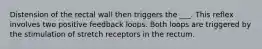 Distension of the rectal wall then triggers the ___. This reflex involves two positive feedback loops. Both loops are triggered by the stimulation of stretch receptors in the rectum.
