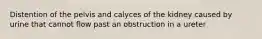 Distention of the pelvis and calyces of the kidney caused by urine that cannot flow past an obstruction in a ureter