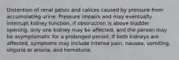 Distention of renal pelvis and calices caused by pressure from accumulating urine. Pressure impairs and may eventually interrupt kidney function. If obstruction is above bladder opening, only one kidney may be affected, and the person may be asymptomatic for a prolonged period. If both kidneys are affected, symptoms may include intense pain, nausea, vomiting, oliguria or anuria, and hematuria.