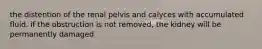 the distention of the renal pelvis and calyces with accumulated fluid. if the obstruction is not removed, the kidney will be permanently damaged