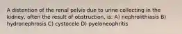 A distention of the renal pelvis due to urine collecting in the kidney, often the result of obstruction, is: A) nephrolithiasis B) hydronephrosis C) cystocele D) pyeloneophritis