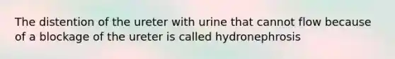 The distention of the ureter with urine that cannot flow because of a blockage of the ureter is called hydronephrosis