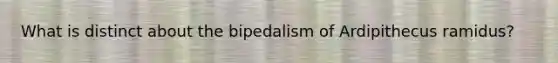 What is distinct about the bipedalism of Ardipithecus ramidus?