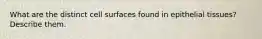 What are the distinct cell surfaces found in epithelial tissues? Describe them.