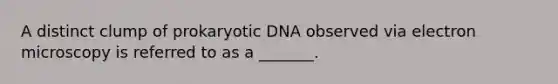 A distinct clump of prokaryotic DNA observed via electron microscopy is referred to as a _______.