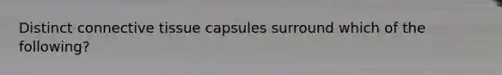 Distinct connective tissue capsules surround which of the following?