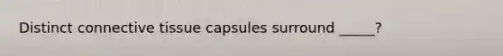 Distinct connective tissue capsules surround _____?