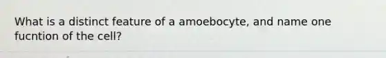 What is a distinct feature of a amoebocyte, and name one fucntion of the cell?