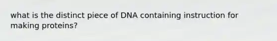 what is the distinct piece of DNA containing instruction for making proteins?