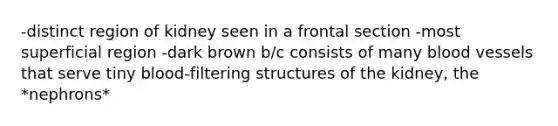 -distinct region of kidney seen in a frontal section -most superficial region -dark brown b/c consists of many blood vessels that serve tiny blood-filtering structures of the kidney, the *nephrons*