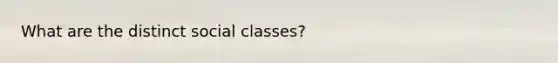 What are the distinct social classes?