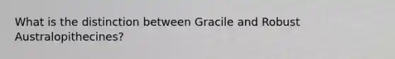 What is the distinction between Gracile and Robust Australopithecines?