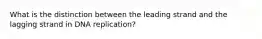 What is the distinction between the leading strand and the lagging strand in DNA replication?