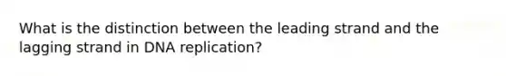 What is the distinction between the leading strand and the lagging strand in DNA replication?