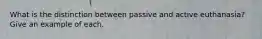 What is the distinction between passive and active euthanasia? Give an example of each.