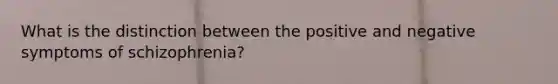 What is the distinction between the positive and negative symptoms of schizophrenia?