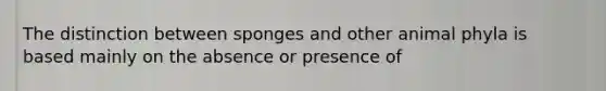 The distinction between sponges and other animal phyla is based mainly on the absence or presence of