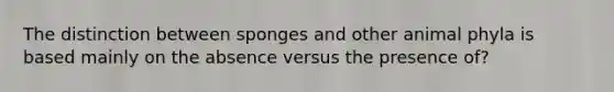 The distinction between sponges and other animal phyla is based mainly on the absence versus the presence of?