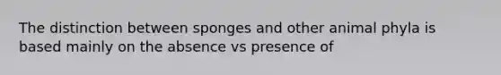 The distinction between sponges and other animal phyla is based mainly on the absence vs presence of