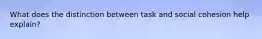 What does the distinction between task and social cohesion help explain?