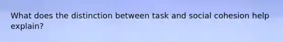 What does the distinction between task and social cohesion help explain?