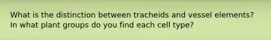 What is the distinction between tracheids and vessel elements? In what plant groups do you find each cell type?