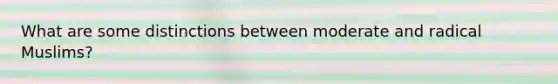 What are some distinctions between moderate and radical Muslims?