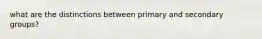 what are the distinctions between primary and secondary groups?