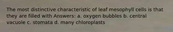 The most distinctive characteristic of leaf mesophyll cells is that they are filled with Answers: a. oxygen bubbles b. central vacuole c. stomata d. many chloroplasts