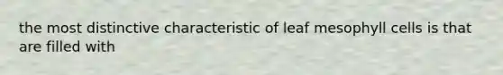 the most distinctive characteristic of leaf mesophyll cells is that are filled with