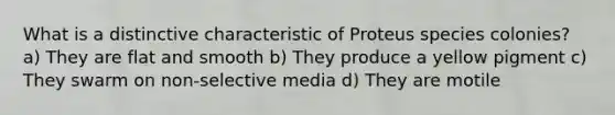 What is a distinctive characteristic of Proteus species colonies? a) They are flat and smooth b) They produce a yellow pigment c) They swarm on non-selective media d) They are motile