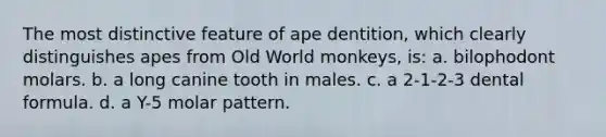 The most distinctive feature of ape dentition, which clearly distinguishes apes from Old World monkeys, is: a. bilophodont molars. b. a long canine tooth in males. c. a 2-1-2-3 dental formula. d. a Y-5 molar pattern.