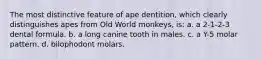 The most distinctive feature of ape dentition, which clearly distinguishes apes from Old World monkeys, is: a. a 2-1-2-3 dental formula. b. a long canine tooth in males. c. a Y-5 molar pattern. d. bilophodont molars.