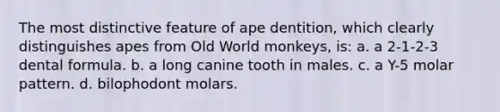 The most distinctive feature of ape dentition, which clearly distinguishes apes from Old World monkeys, is: a. a 2-1-2-3 dental formula. b. a long canine tooth in males. c. a Y-5 molar pattern. d. bilophodont molars.