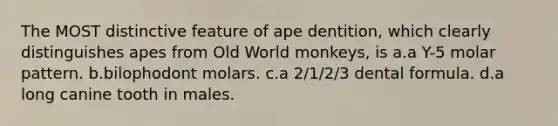 The MOST distinctive feature of ape dentition, which clearly distinguishes apes from Old World monkeys, is a.a Y-5 molar pattern. b.bilophodont molars. c.a 2/1/2/3 dental formula. d.a long canine tooth in males.