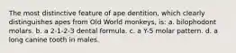 The most distinctive feature of ape dentition, which clearly distinguishes apes from Old World monkeys, is: a. bilophodont molars. b. a 2-1-2-3 dental formula. c. a Y-5 molar pattern. d. a long canine tooth in males.