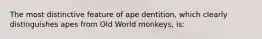 The most distinctive feature of ape dentition, which clearly distinguishes apes from Old World monkeys, is: